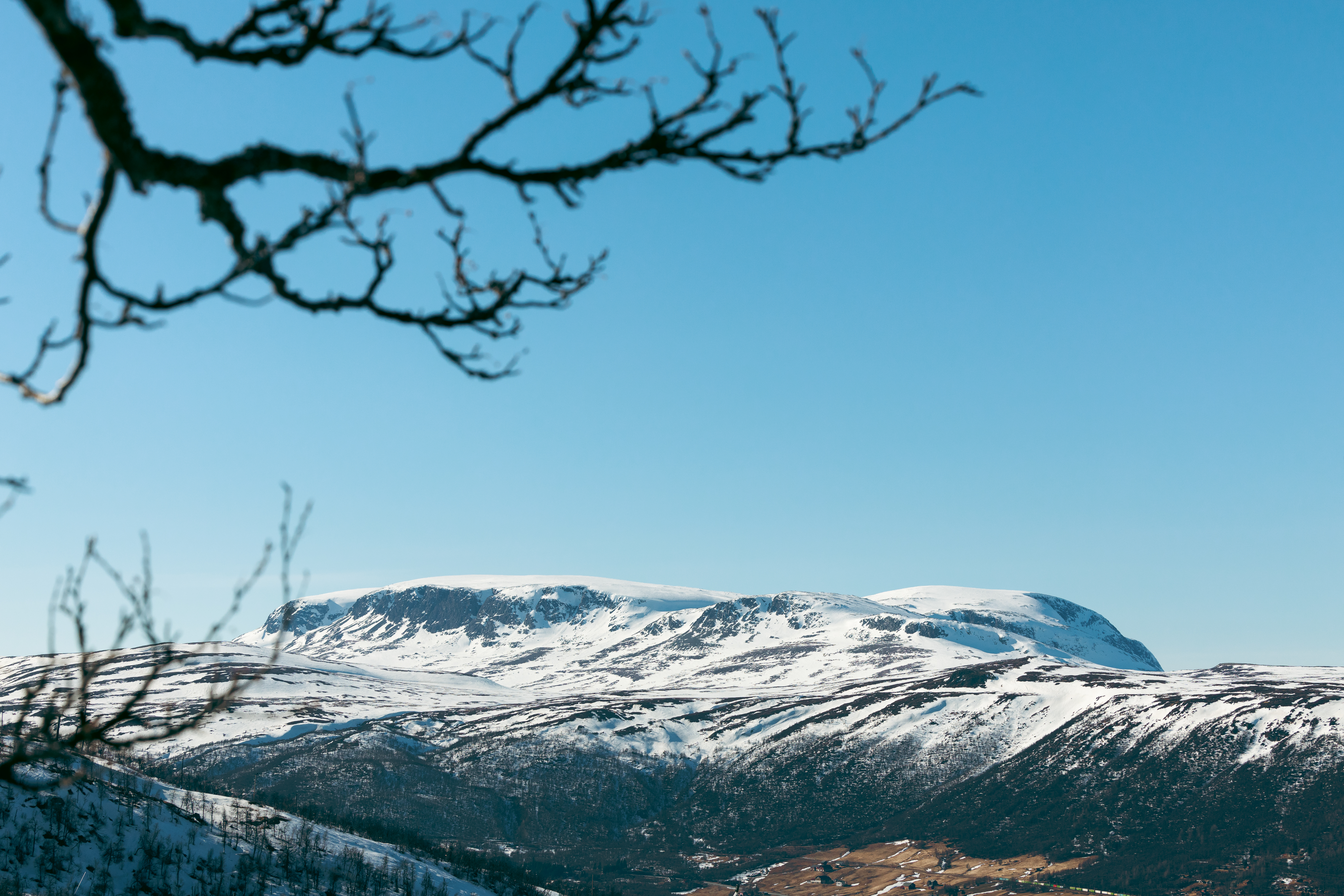Bilde av Hallingskarvet med sn&oslash;dekke