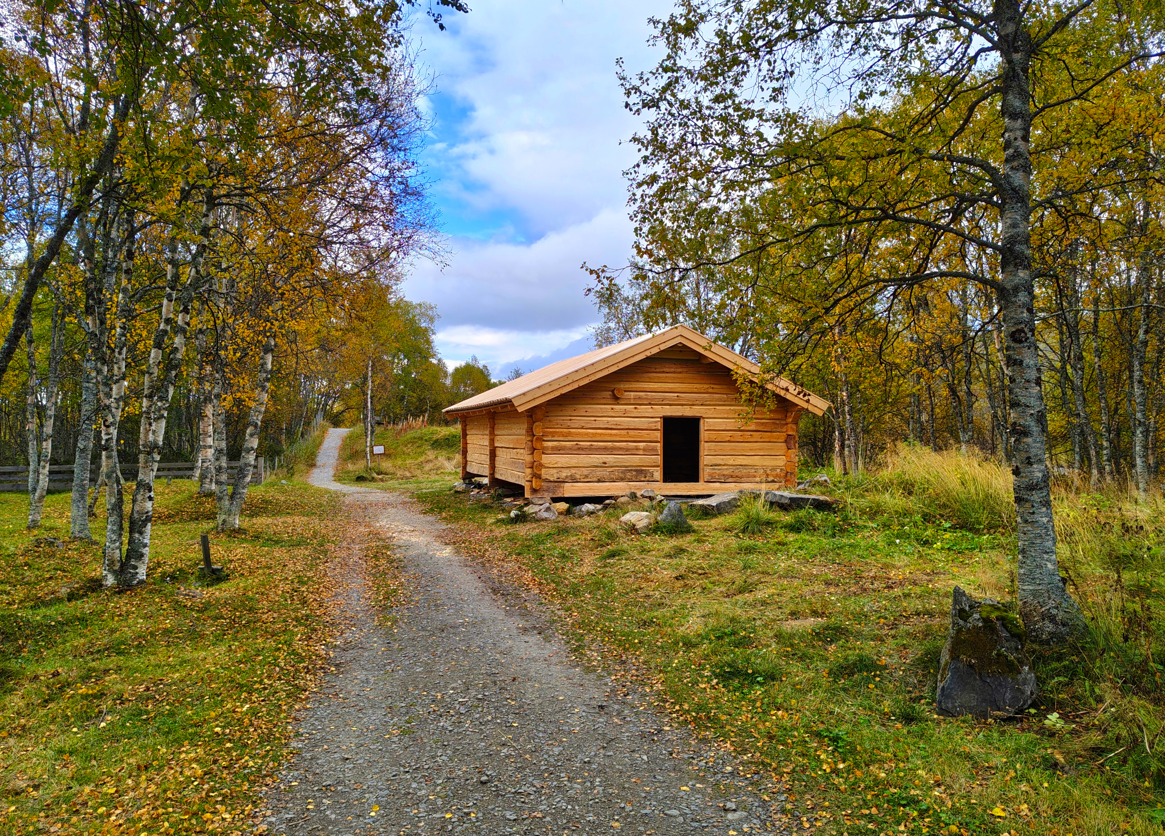 Bilde av et nytt laftet hus ved siden av en gammel vei i en bjørkeskog. 