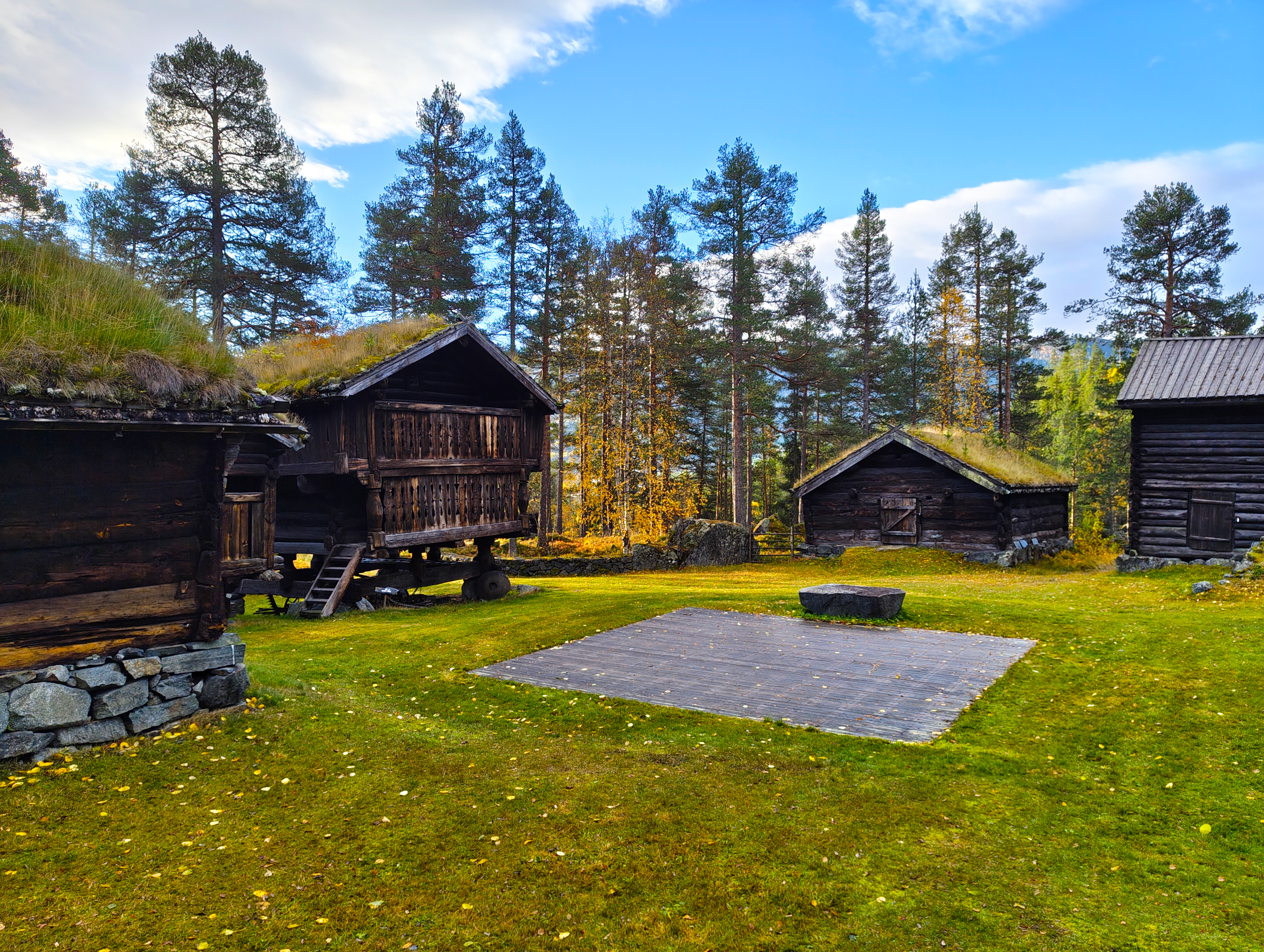 Bilde av gamle lafta bygninger på et grønt område med skog i bakgrunnen. 